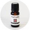 Lemongrass E/O: Vital Herb